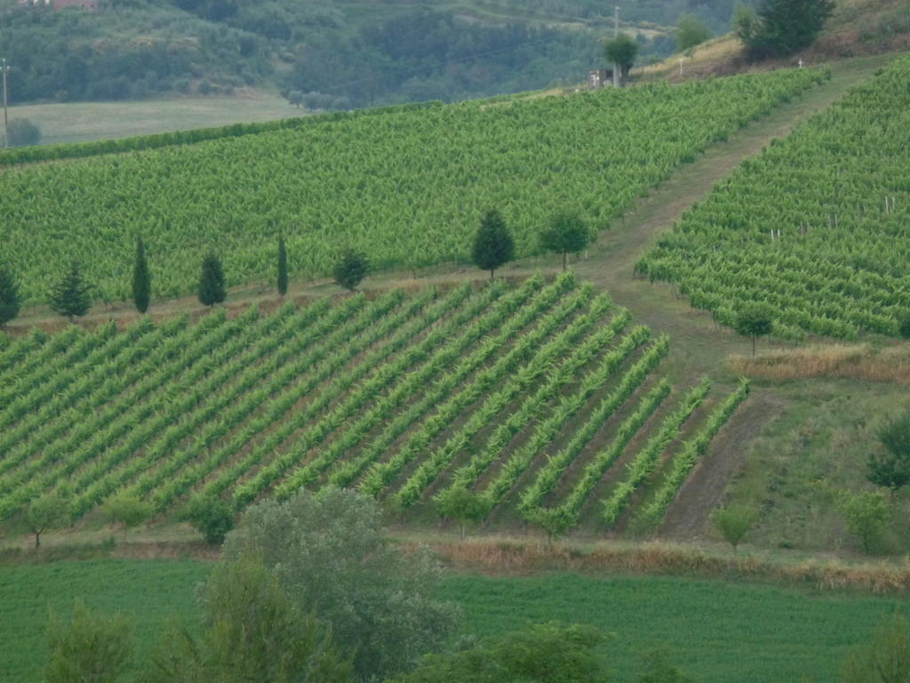 Azienda Agricola Ed Agrituristica Cafaggio Villa San Miniato Ngoại thất bức ảnh